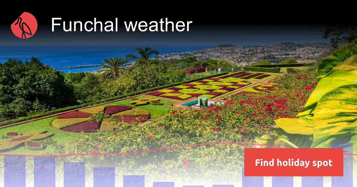 Funchal weather and climate Sunheron