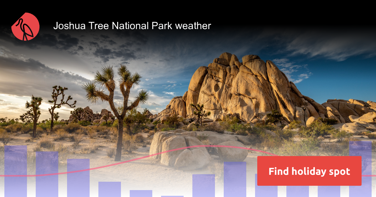 Joshua Tree Weather November 2025 Janie Lisette