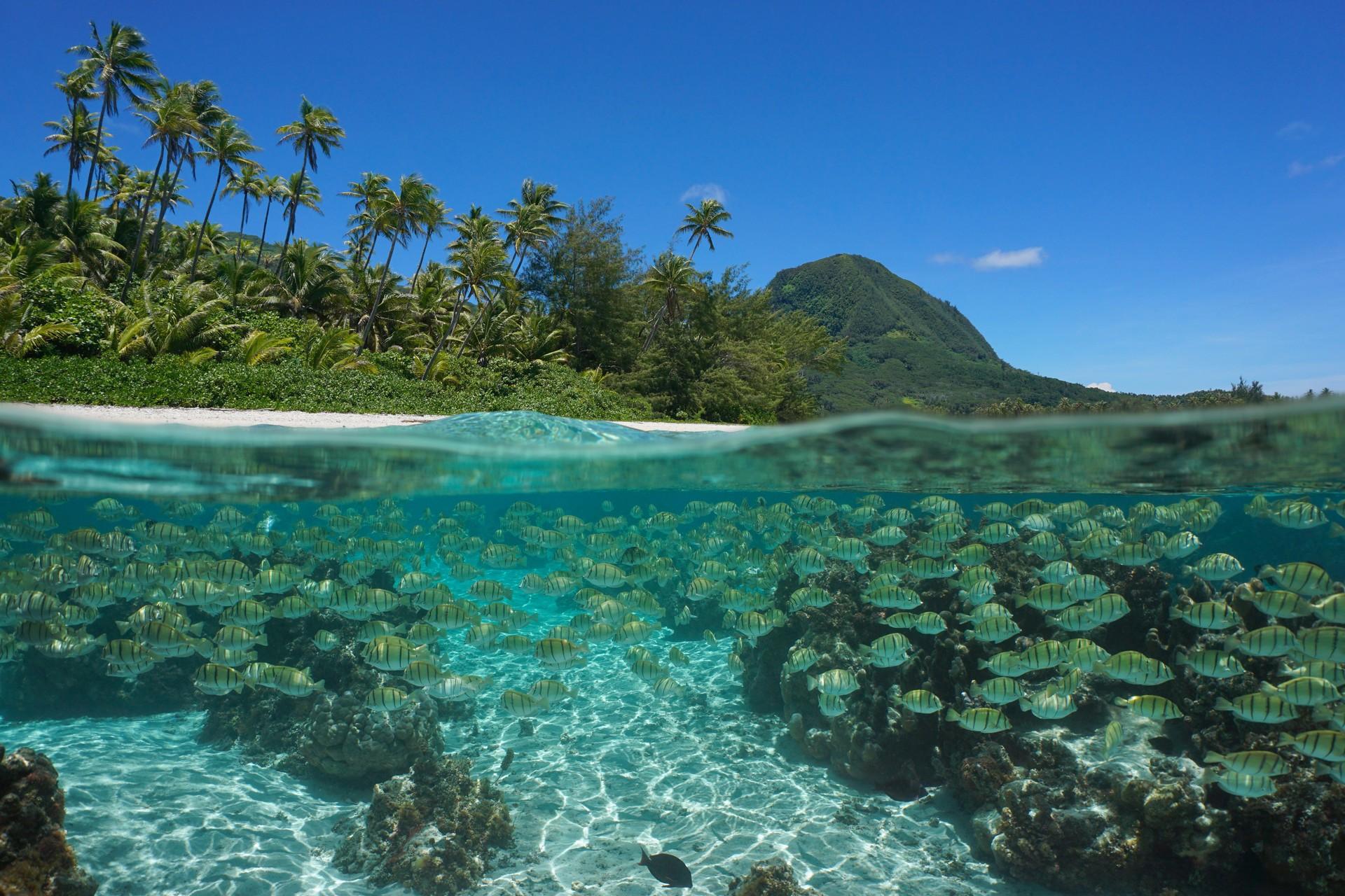 Beach near Huahine with nice weather and blue sky