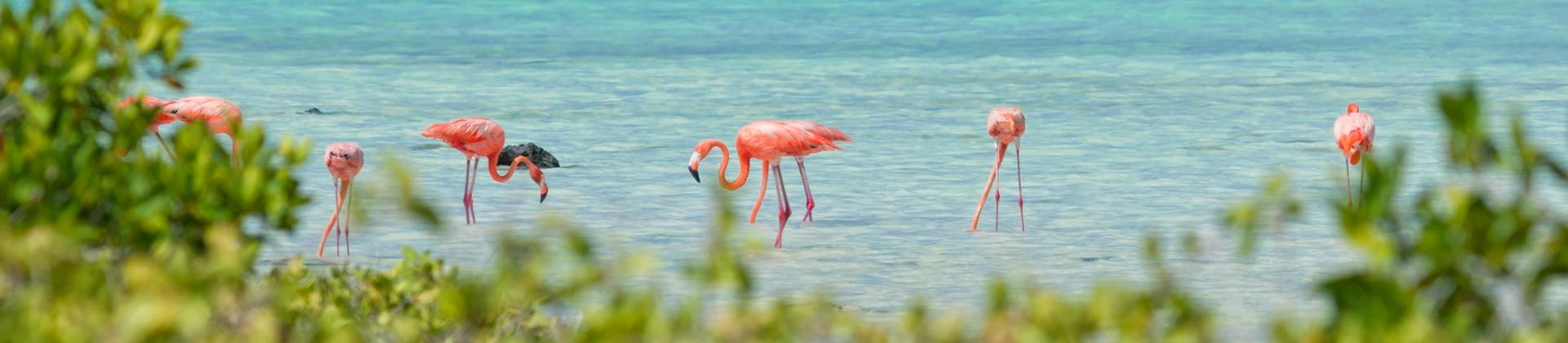 Lake in Bonaire on a sunny day