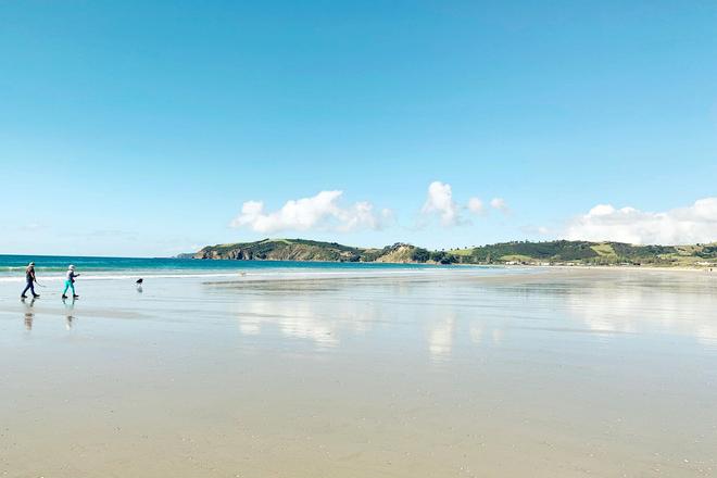 Omaha beach, sea and greenery in New Zealand