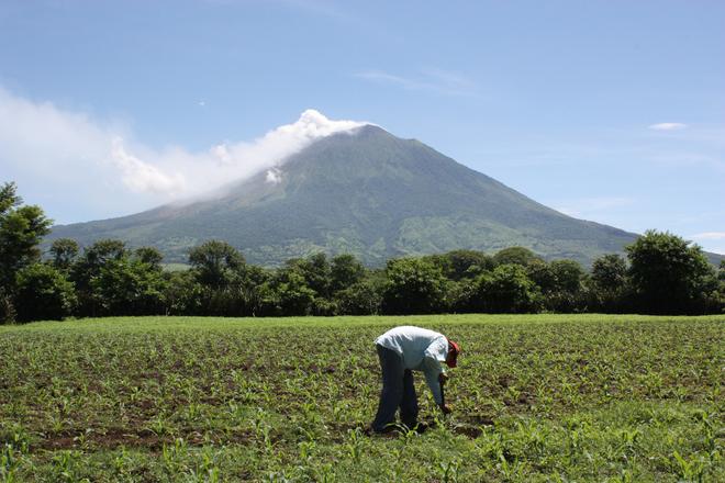 Man in a field with an active volcano in the background.