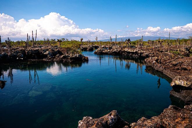 View of sea and a part of Isabela Island formed by lava rocks in Galapagos Province