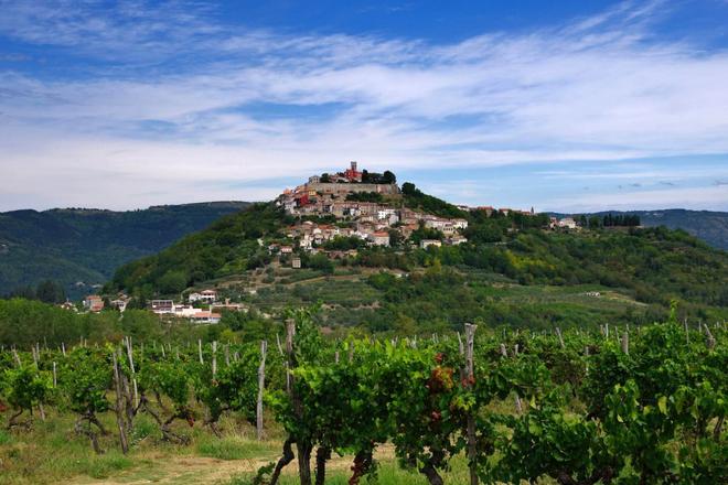 View of a mountain town of Motovun surrounded by nature