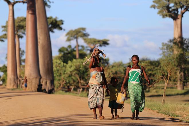 Madagascar: women with a child carrying wood walking on a dirt road.