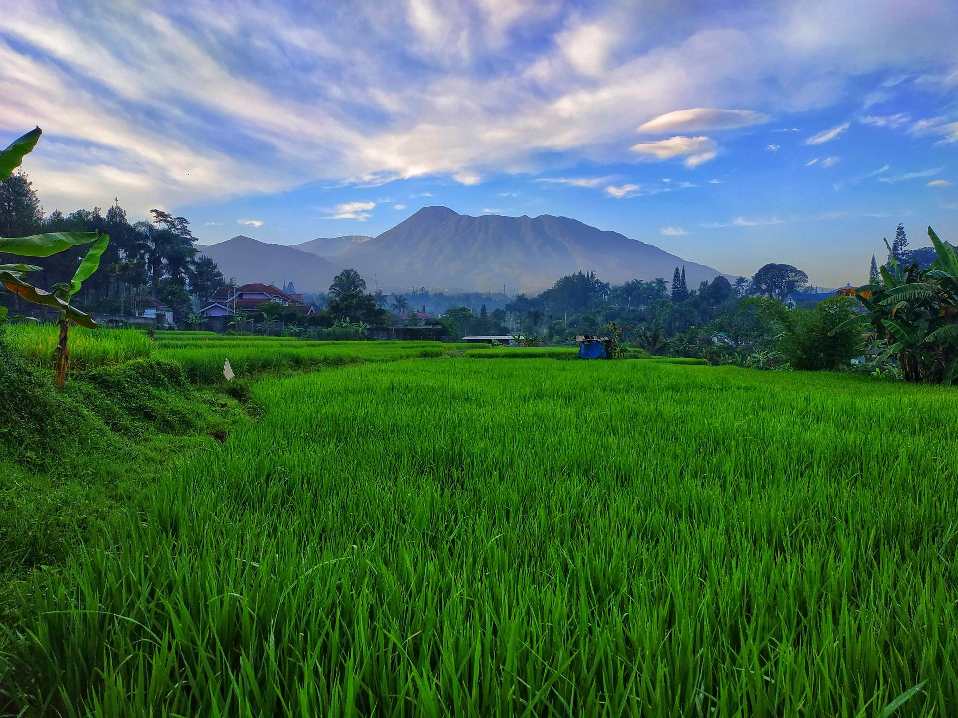 Countryside near Bogor in partly cloudy weather