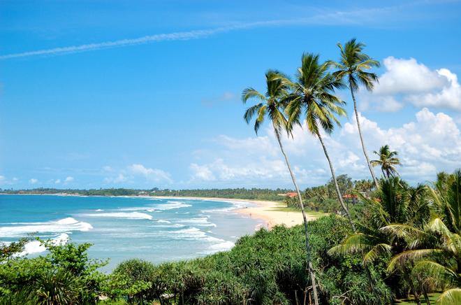 A beach with palm trees and waves in Bentota resort on the southwest coast of  Sri Lanka in sunny summer weather.