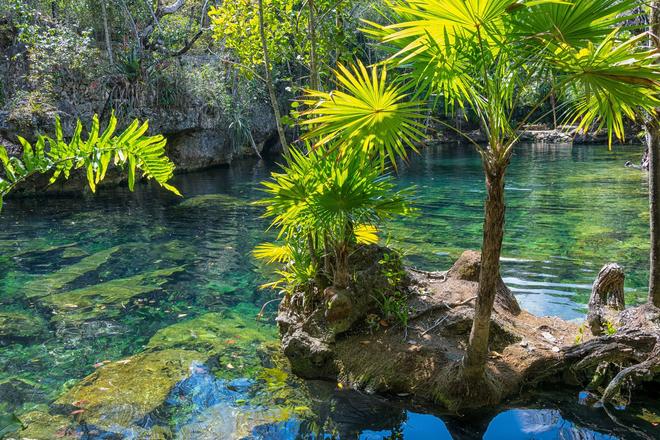 Mexico Yuacatan: clear lake in the greenery