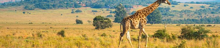 South Africa weather in February | Sunheron