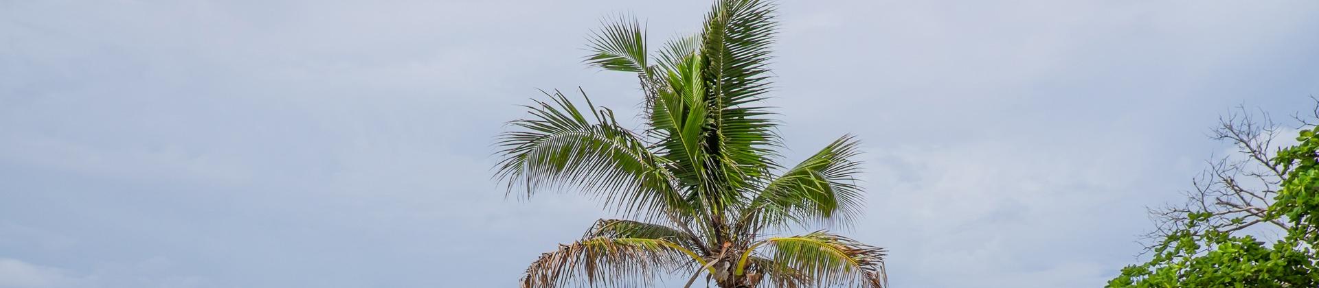 Nice beach by the sea with turquise water in Samoa on a cloudy day