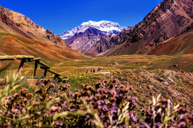 View of the mountains, flowers and meadows in Mendoza, Argentina