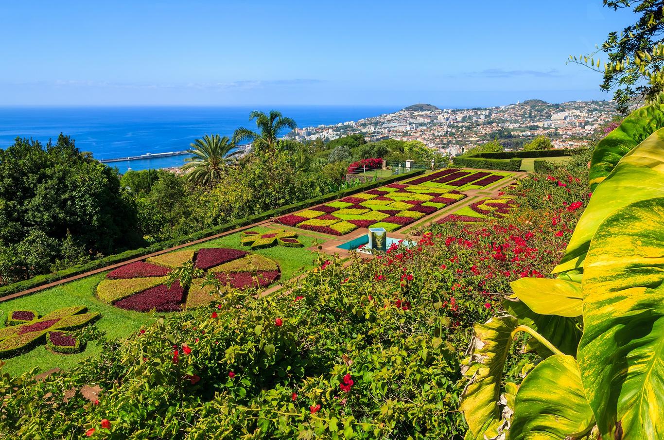 Funchal weather and climate Sunheron