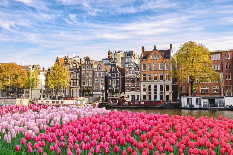 Amsterdam weather and climate in 2025 Sunheron