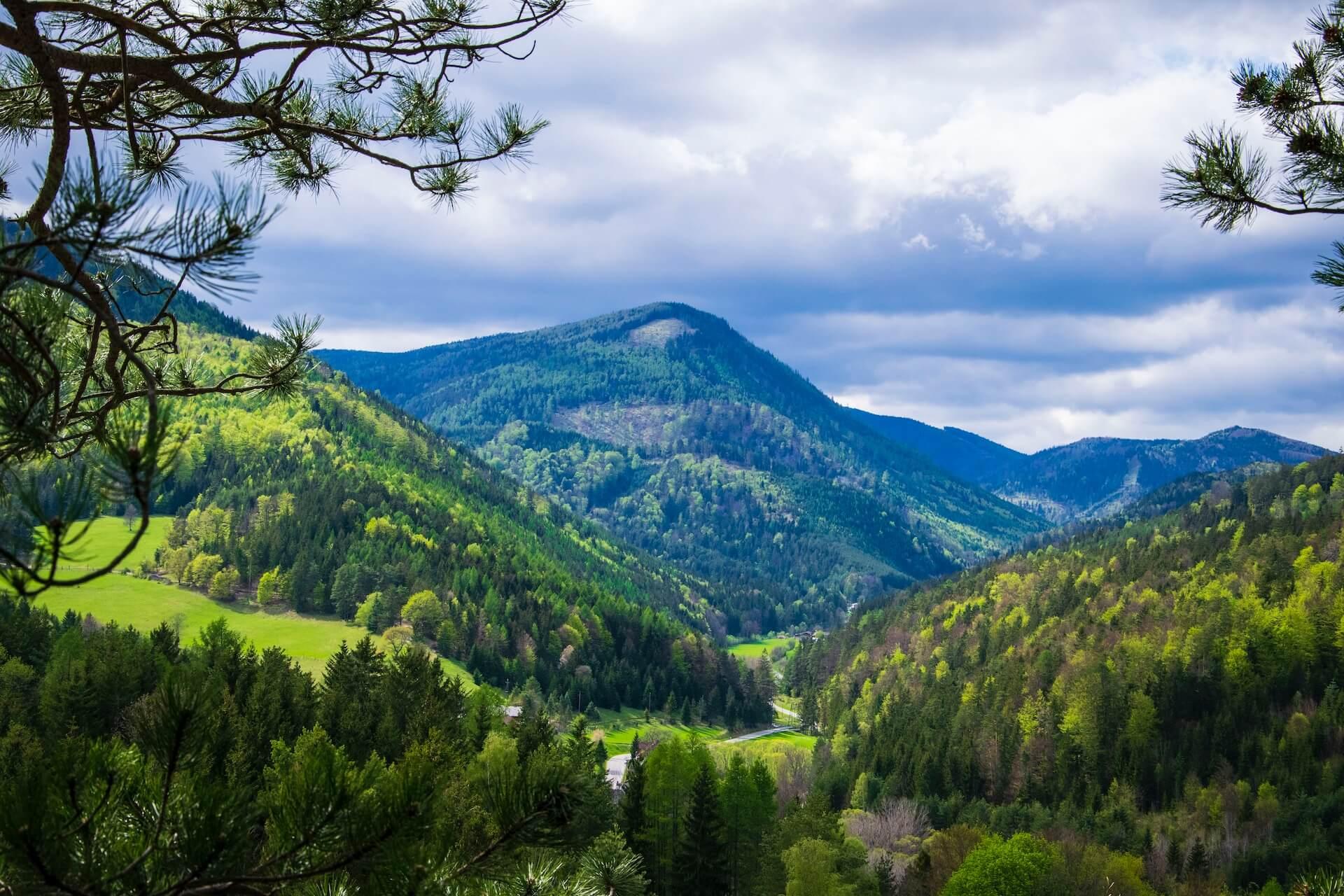 View of grass mountains covered with forests in Lower Austria