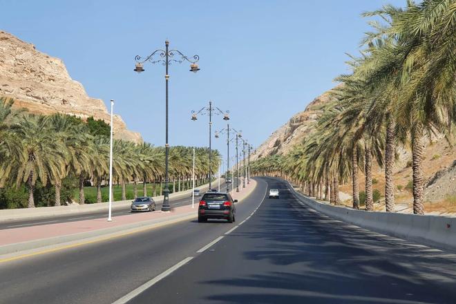 Cars on a highway that is surrounded by palm trees in Muscat