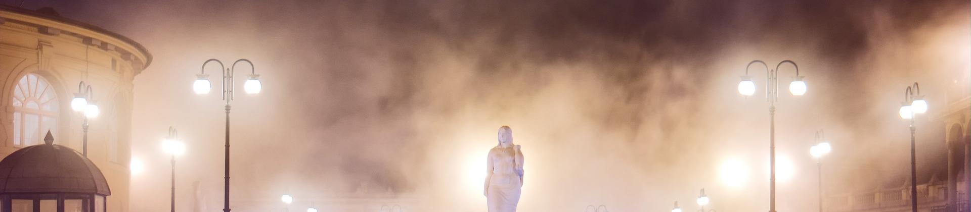 Bridge in Budapest in the night