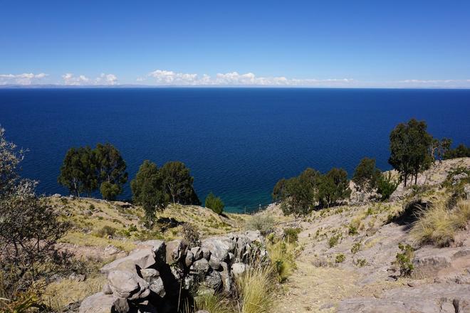 Lake Titicata and a rocky coast with trees in Peru