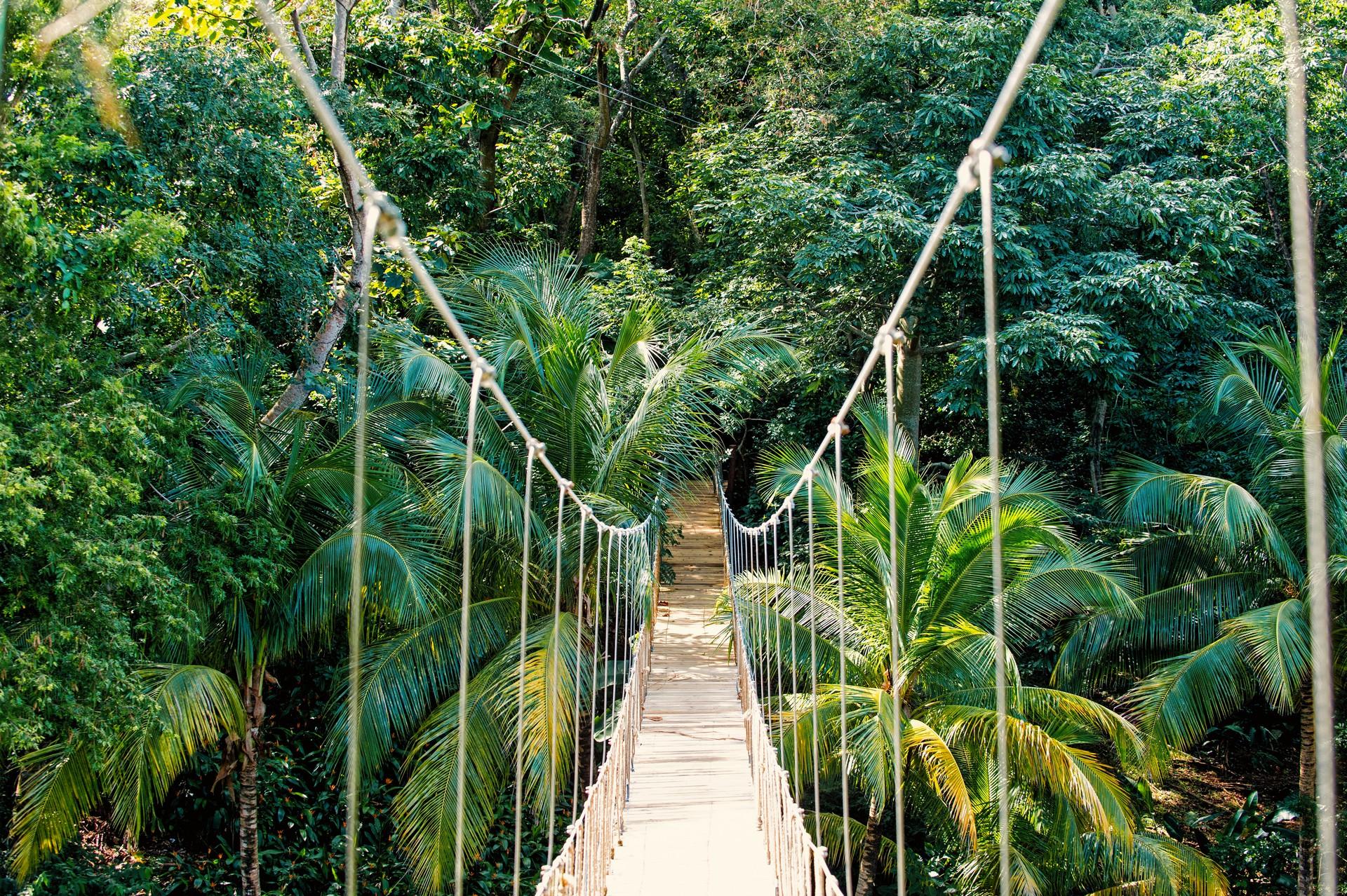 Bridge in Roatán