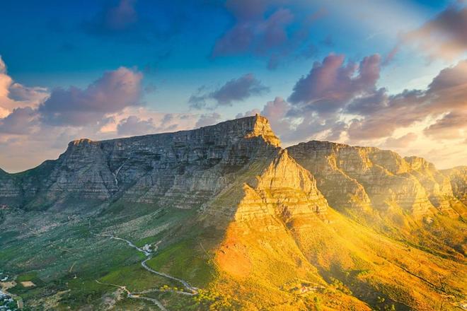 Table Mountain surrounded by nature in Table Mountain National Park in Cape Town