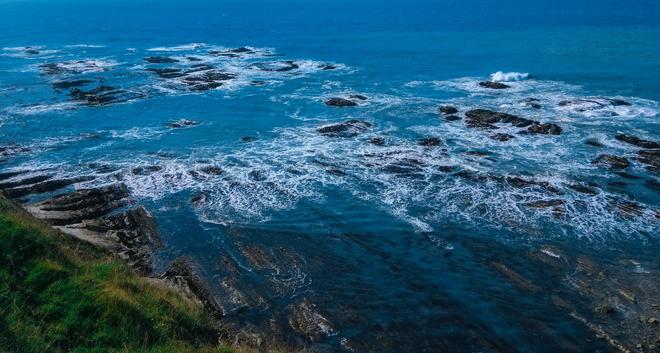New Zealand, Fiordland: rocky seashore.
