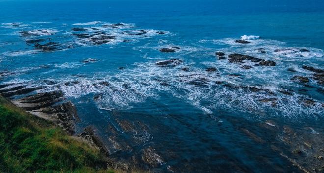 New Zealand, Fiordland: rocky seashore.