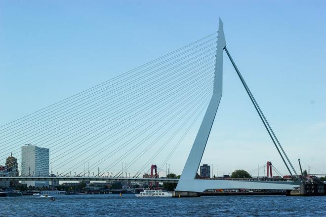 View of the white Erasmus Bridge, sea and buildings in the background
