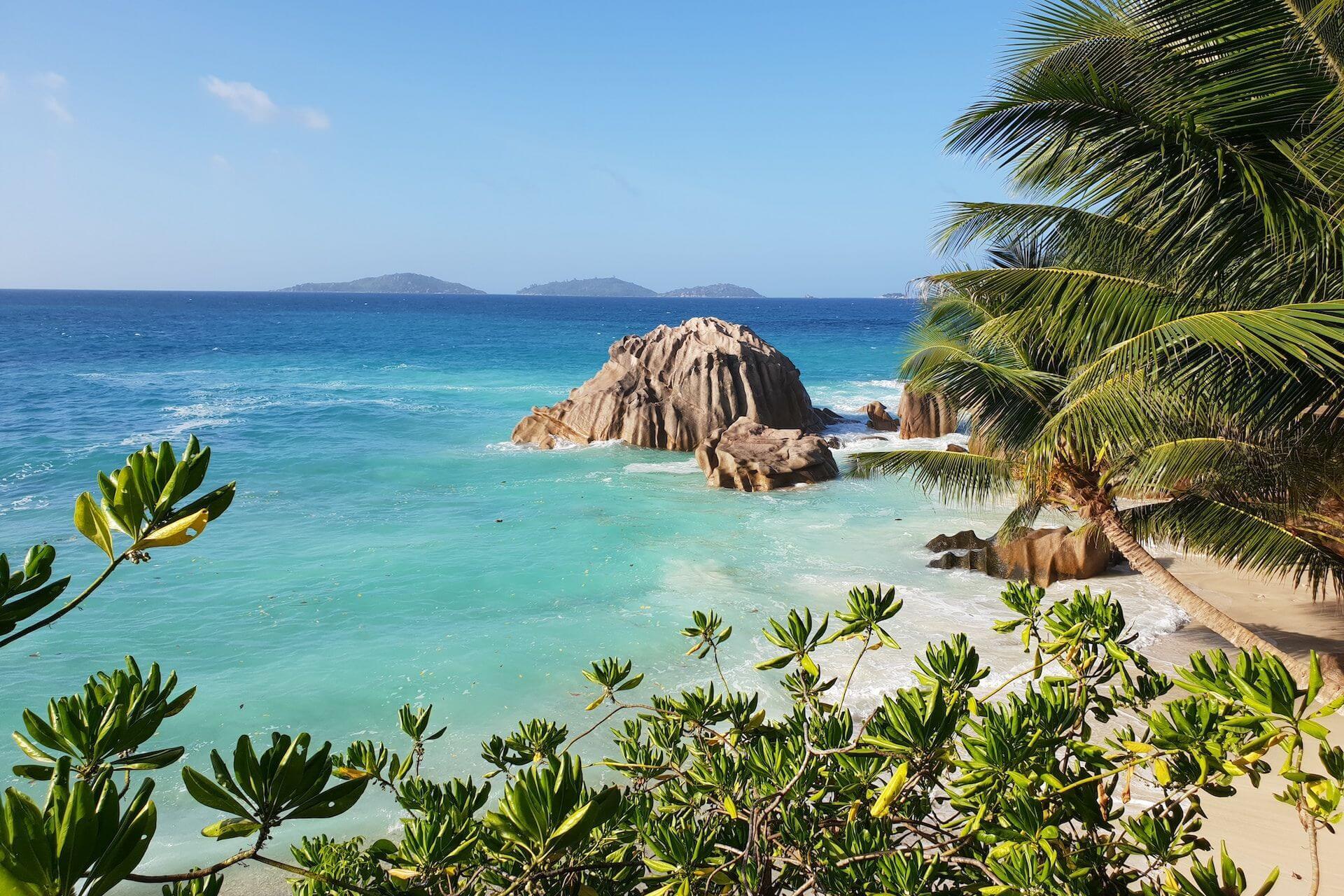 View of a beach, sea and palms in Seychelles