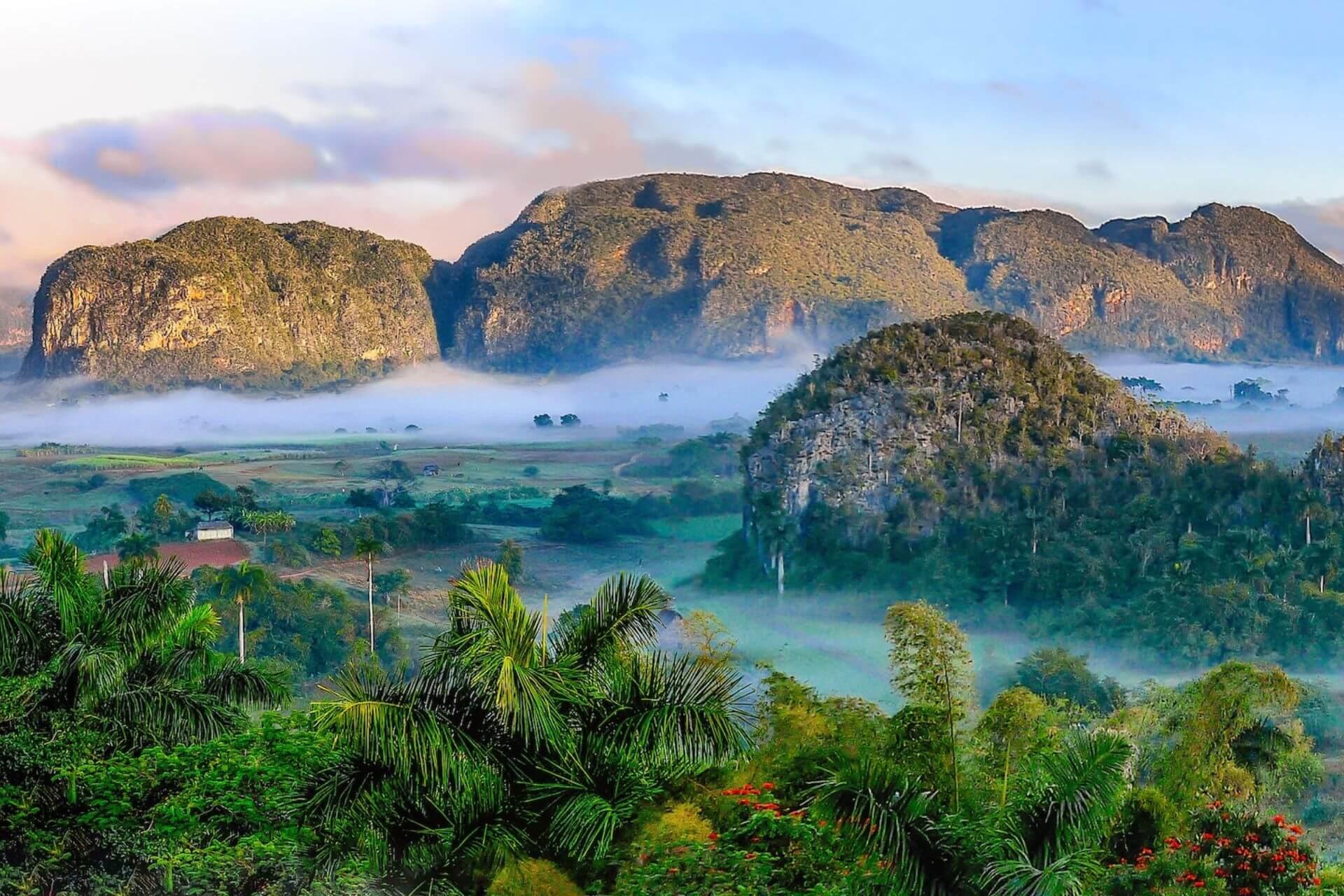 View of mountains, palm trees, nature and fog in Cuba