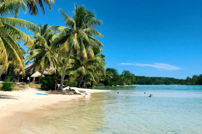 View of a beach with sunshades, palm trees and people swimming in the sea