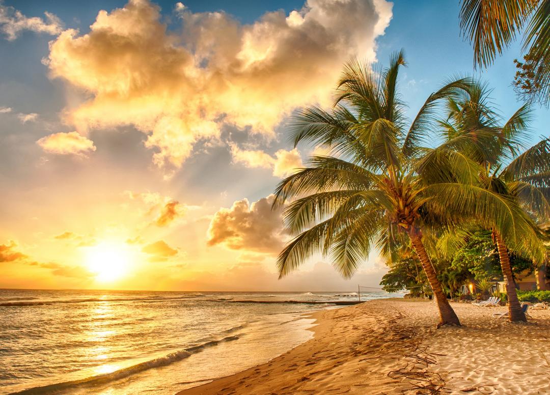 Barbados weather in January Sunheron