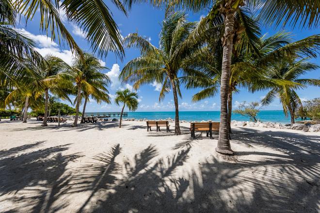 Florida, Marathon: beautiful white beach with palm trees and benches.