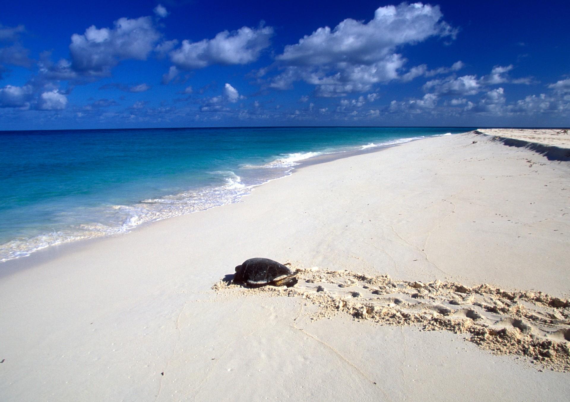 Beach with turquise sea in Mayotte on a sunny day with some clouds