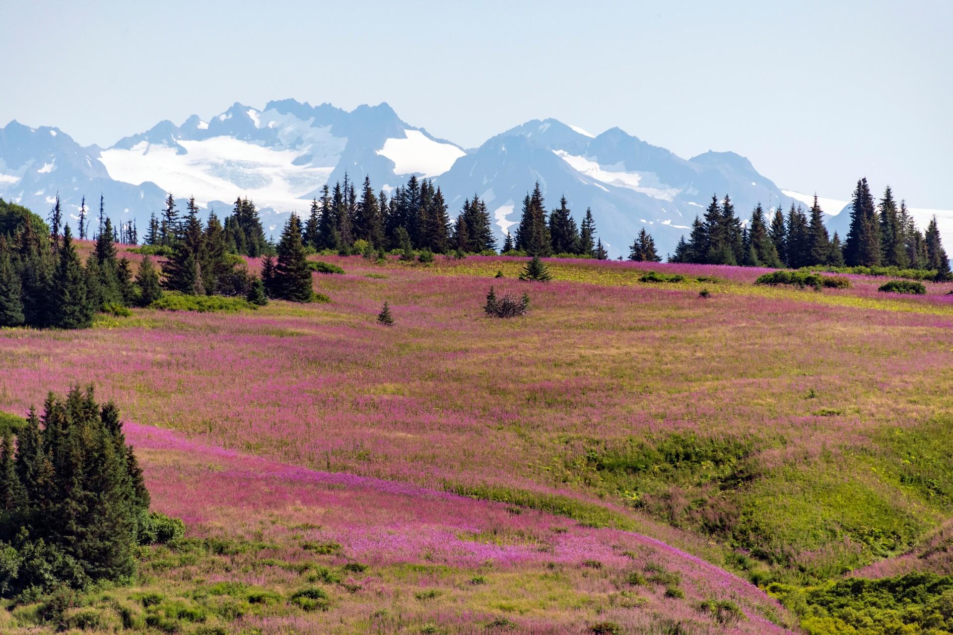 Mountain range near Homer