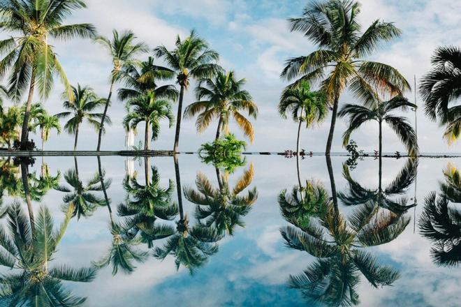 Palm trees that are reflected on the crystal-clear sea