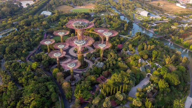 Gardens by the Bay, an amazing nature park in Singapore from above.