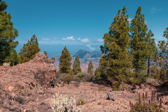 View during a hike to Roque Nublo on Gran Canaria. 