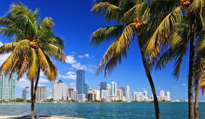 Florida, Miami: palm trees on the beach and downtown in the background.