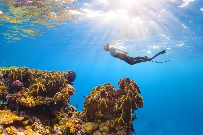 View of a person snorkelling next to a colorful barrier reef