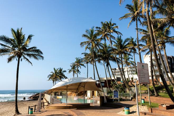 Palm grove on the beach in a resort in KwaZulu-Natal the region in South Africa.