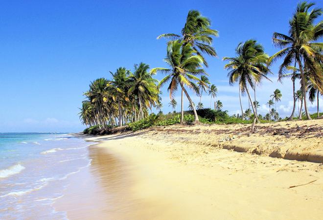 Beautiful sandy beach in the Dominican Republic with palm trees.