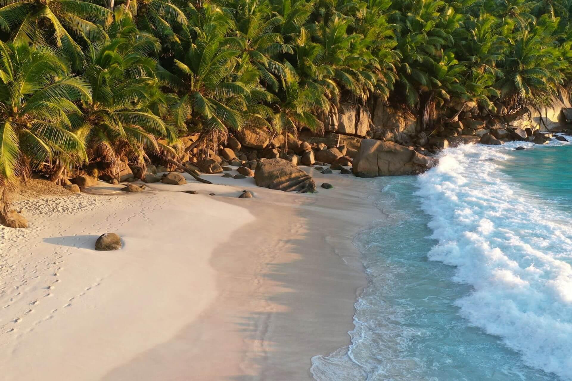 View of the beautiful beach, palm trees and waves in Seychelles