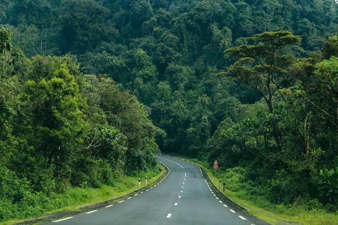 View of a road between forests in Nyungwe National Park