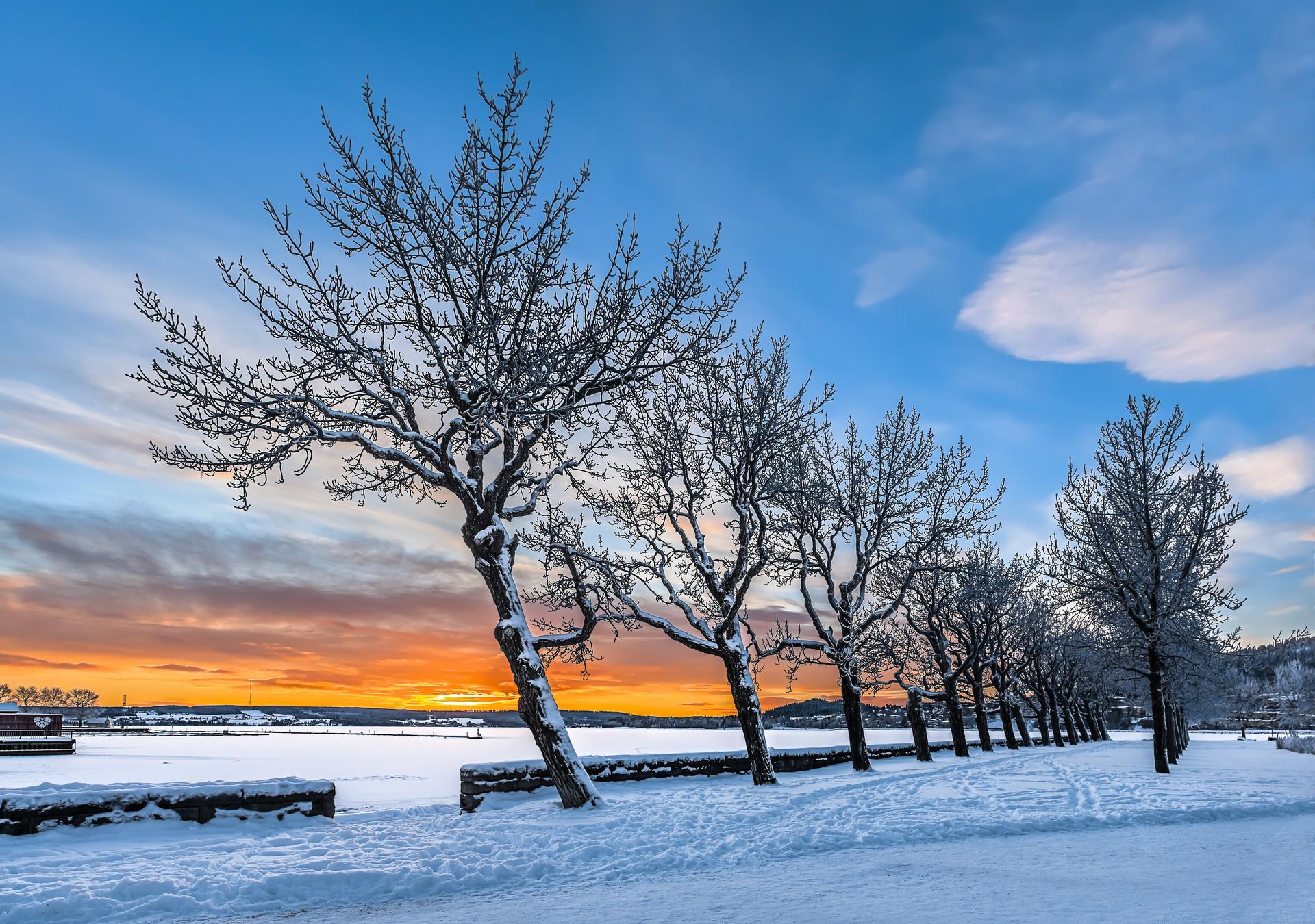 Location near Östersund at dawn