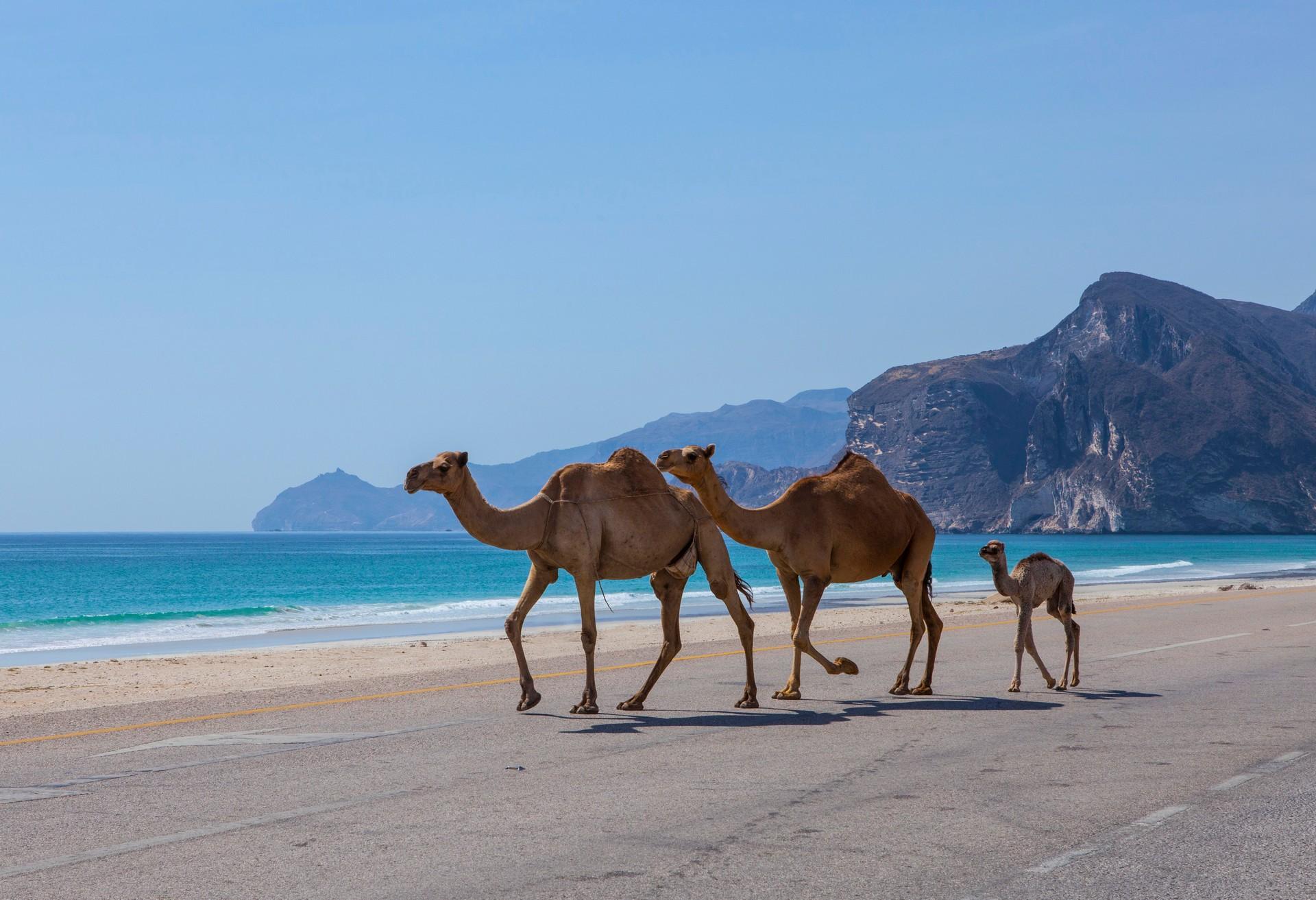 Amazing beach with turquise water in Salalah on a sunny day