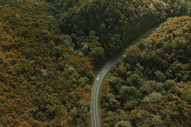 A road in the middle of Los Haitises National Park in Dominican Republic