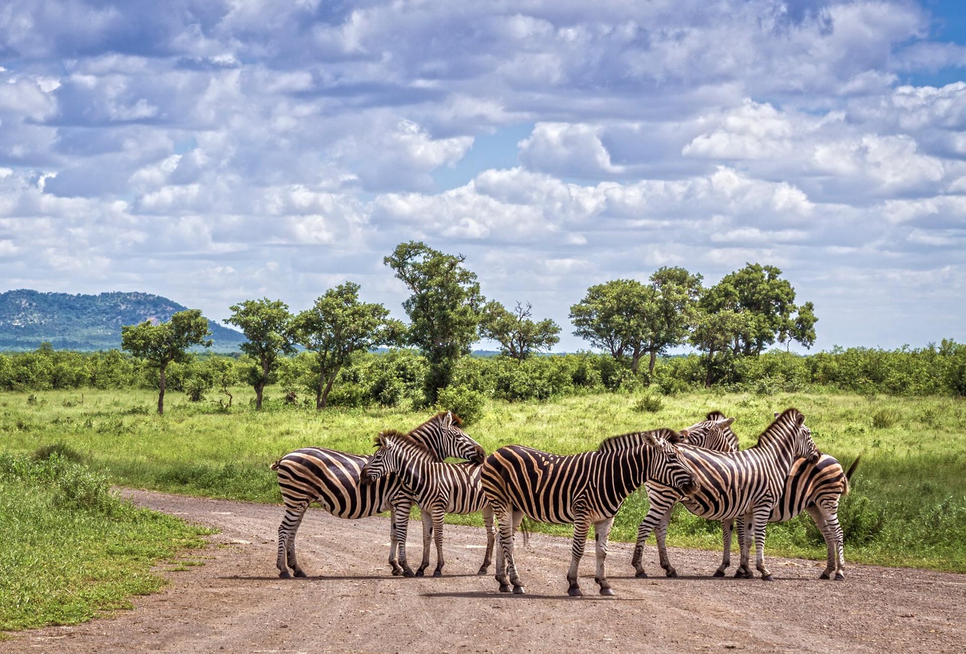 Wildlife in Kruger on a cloudy day