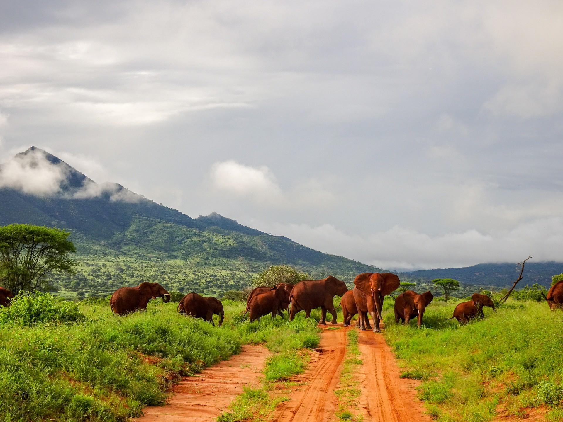Countryside in Tsavo on a day with cloudy weather