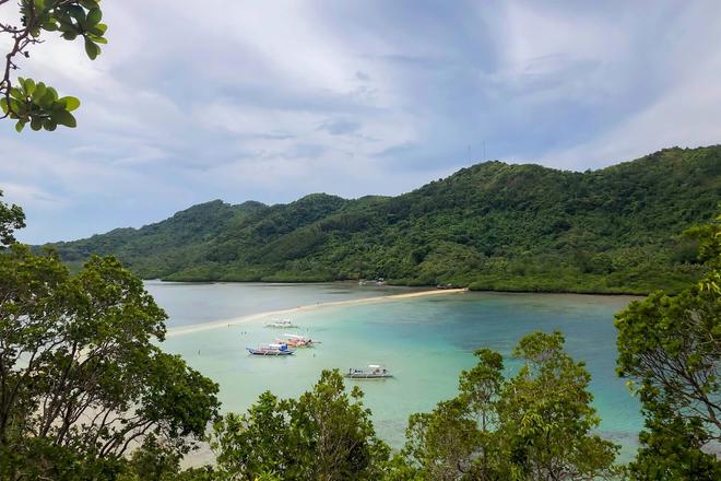 View of Snake Island surrounded by the sea and boats