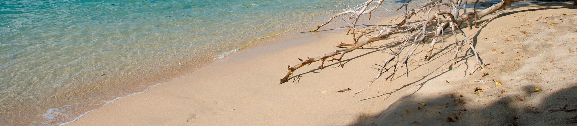 Nice beach by the sea with turquise water in Saint Vincent in sunny weather with few clouds