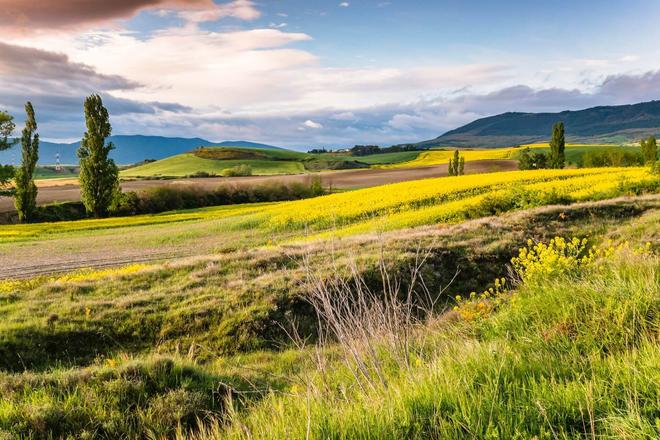 View of colorful meadows in Santiago de Compostela